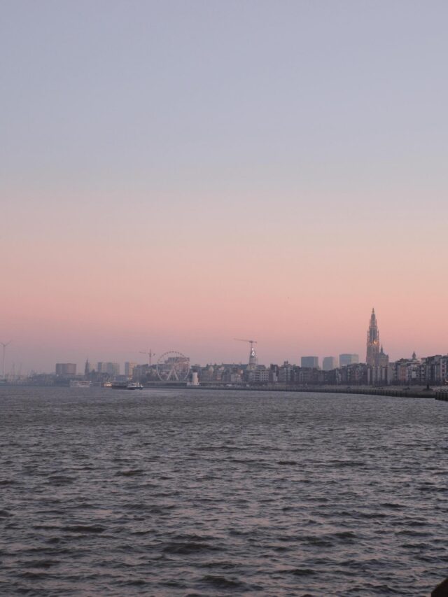 Koud? Ja. Zonnig? Absoluut. Perfecte ochtend voor een loopje 🏃‍♀️❄️☀️ #MorningRun

📸 @judith.prlnck