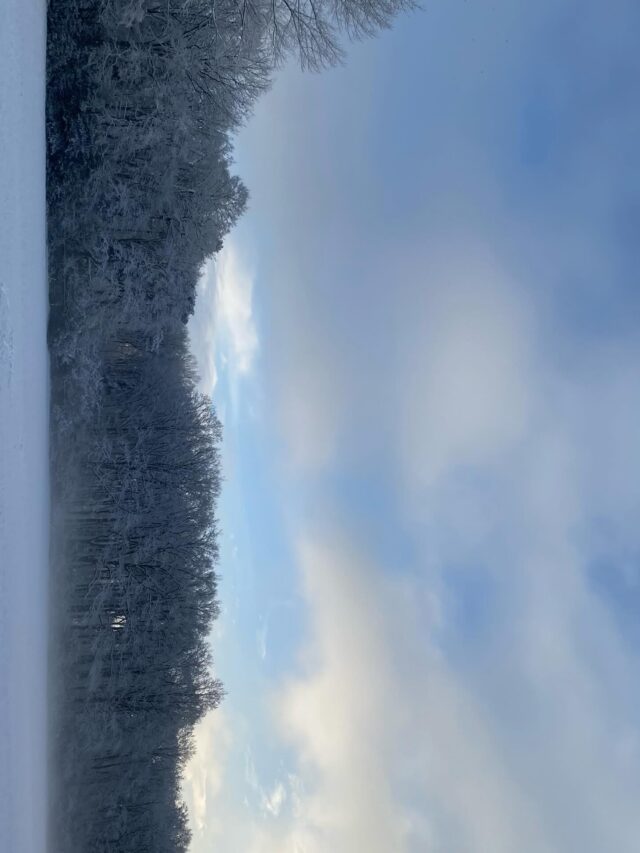 Wintergeluk ❄️👟🤍.
#LoopInDeSneeuw #WandelInDeSneeuw #GenietInDeSneeuw